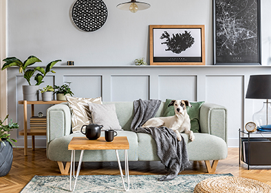 設(shè)計師合作